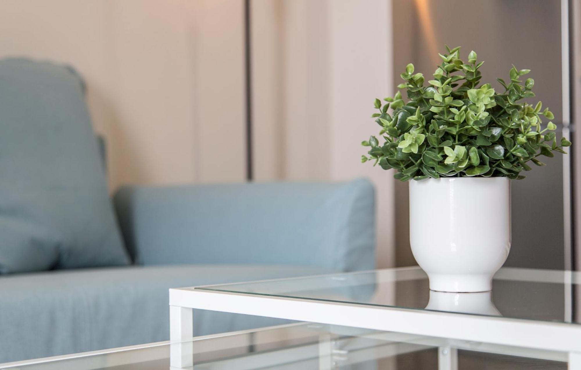 Apartoyou Premium - Apartamentos Casa Linares El Puerto de Santa María Εξωτερικό φωτογραφία